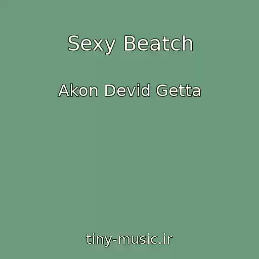 کاور آهنگ Sexy Beatch از Akon Devid Getta