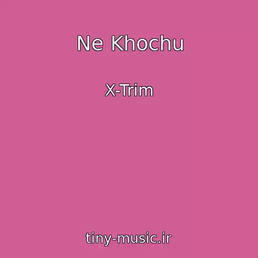 کاور آهنگ Ne Khochu از X-Trim