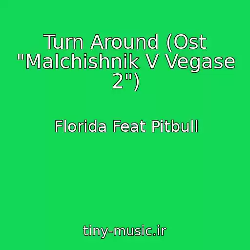 کاور آهنگ Turn Around (Ost "Malchishnik V Vegase 2") از Florida Feat Pitbull