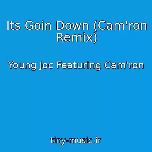 کاور آهنگ Its Goin Down (Cam'ron Remix) از Young Joc Featuring Cam'ron