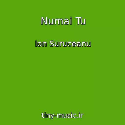 کاور آهنگ Numai Tu از Ion Suruceanu