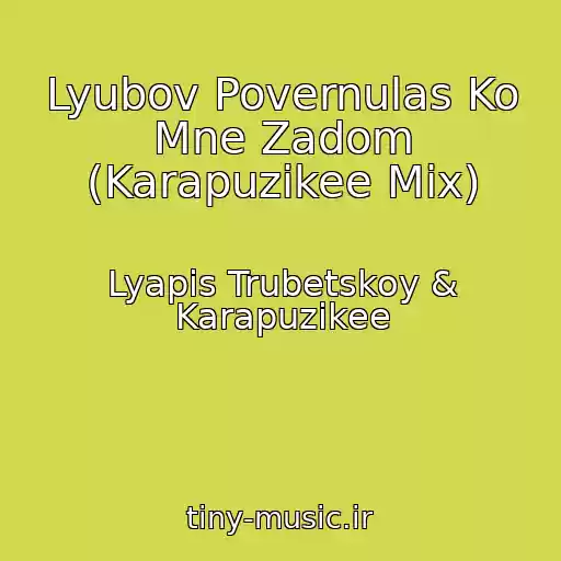 کاور آهنگ Lyubov Povernulas Ko Mne Zadom (Karapuzikee Mix) از Lyapis Trubetskoy & Karapuzikee