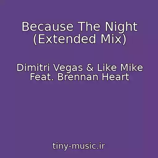 کاور آهنگ Because The Night (Extended Mix) از Dimitri Vegas & Like Mike Feat. Brennan Heart
