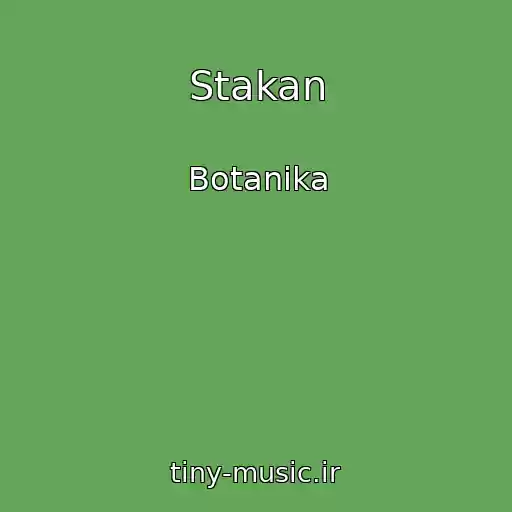 کاور آهنگ Stakan از Botanika