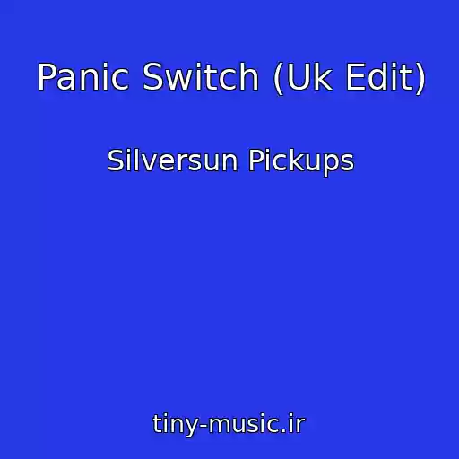 کاور آهنگ Panic Switch (Uk Edit) از Silversun Pickups
