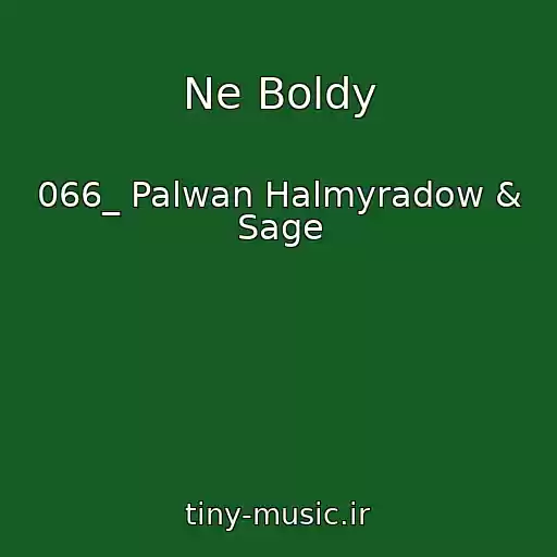 کاور آهنگ Ne Boldy از 066_ Palwan Halmyradow & Sage