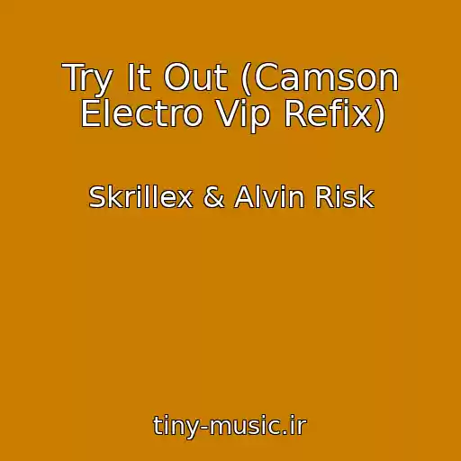 کاور آهنگ Try It Out (Camson Electro Vip Refix) از Skrillex & Alvin Risk
