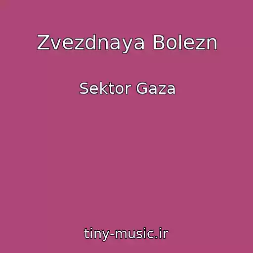 کاور آهنگ Zvezdnaya Bolezn از Sektor Gaza