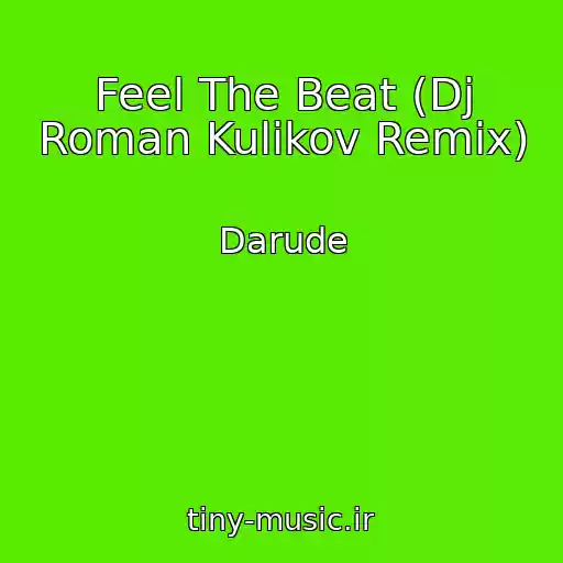 کاور آهنگ Feel The Beat (Dj Roman Kulikov Remix) از Darude