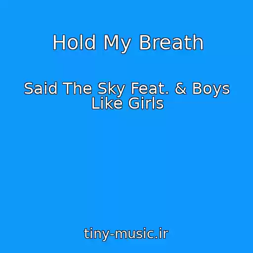 کاور آهنگ Hold My Breath از Said The Sky Feat. & Boys Like Girls
