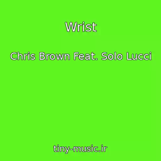 کاور آهنگ Wrist از Chris Brown Feat. Solo Lucci
