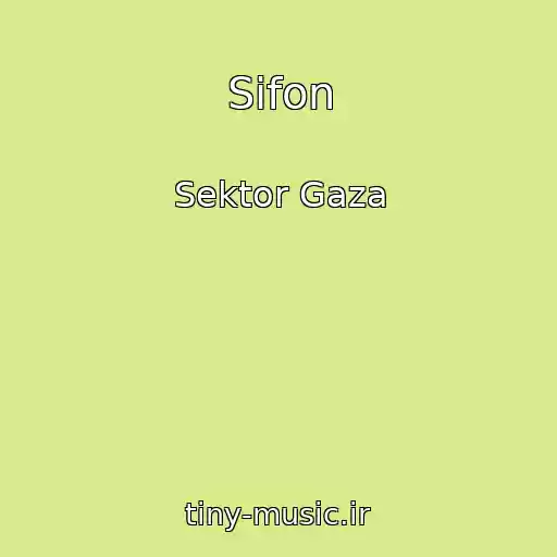 کاور آهنگ Sifon از Sektor Gaza