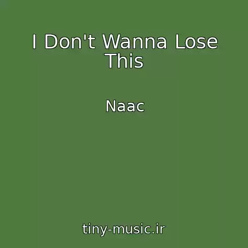 کاور آهنگ I Don't Wanna Lose This از Naac