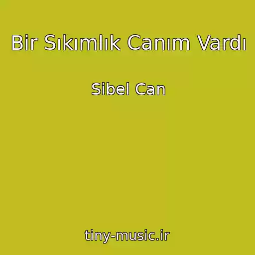 کاور آهنگ Bir Sıkımlık Canım Vardı از Sibel Can
