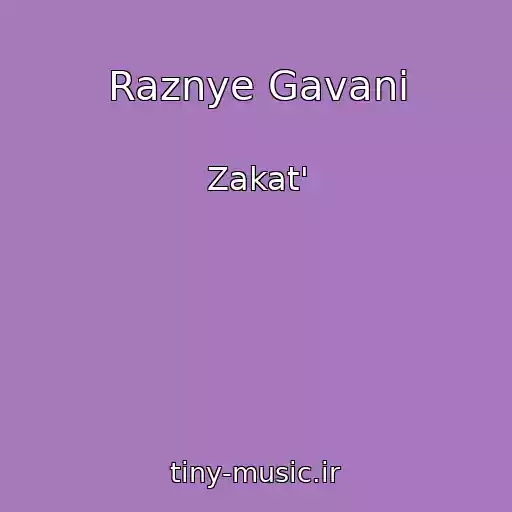 کاور آهنگ Raznye Gavani از Zakat'