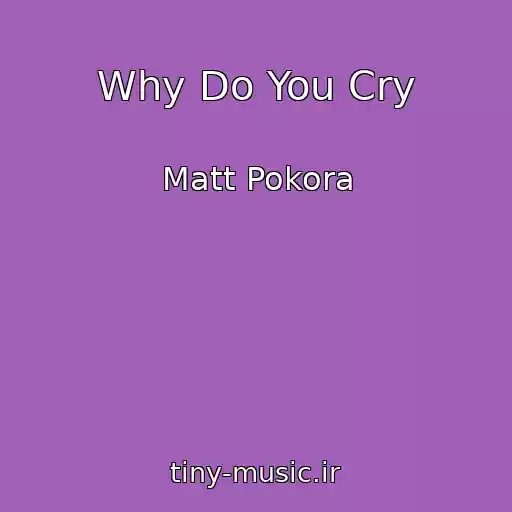 کاور آهنگ Why Do You Cry از Matt Pokora
