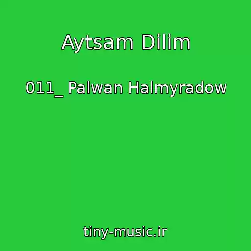 کاور آهنگ Aytsam Dilim از 011_ Palwan Halmyradow