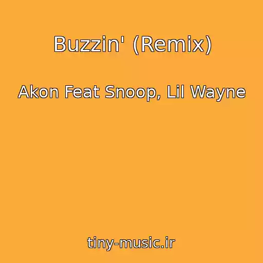 کاور آهنگ Buzzin' (Remix) از Akon Feat Snoop, Lil Wayne