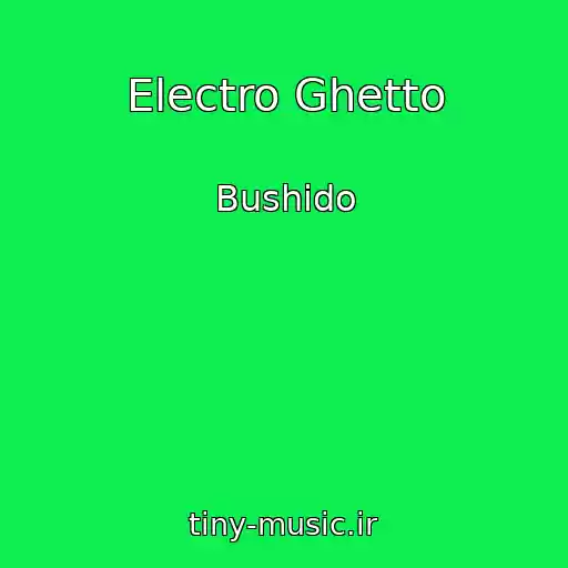 کاور آهنگ Electro Ghetto از Bushido