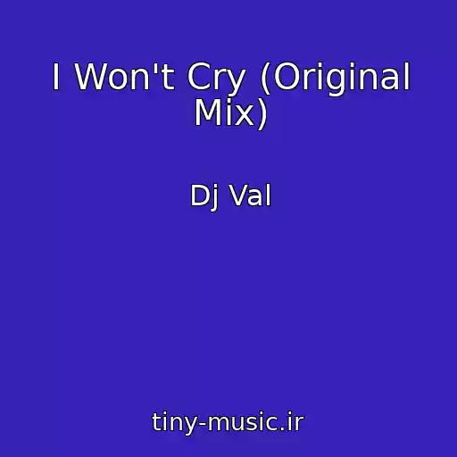 کاور آهنگ I Won't Cry (Original Mix) از Dj Val