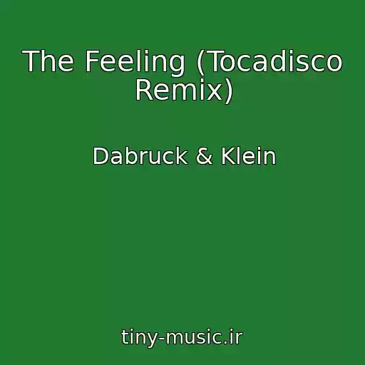 کاور آهنگ The Feeling (Tocadisco Remix) از Dabruck & Klein