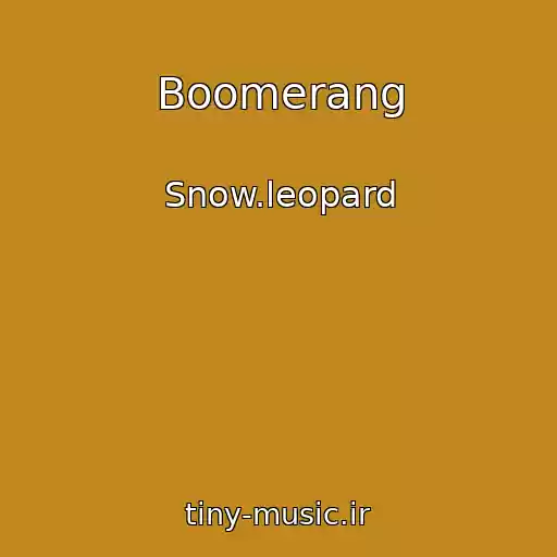 کاور آهنگ Boomerang از Snow.leopard