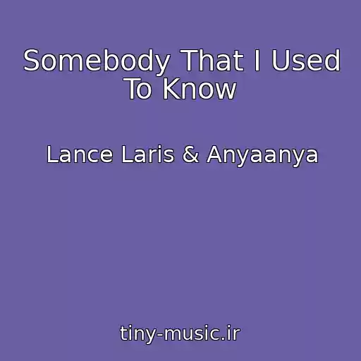 کاور آهنگ Somebody That I Used To Know از Lance Laris & Anyaanya