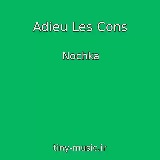کاور آهنگ Adieu Les Cons از Nochka