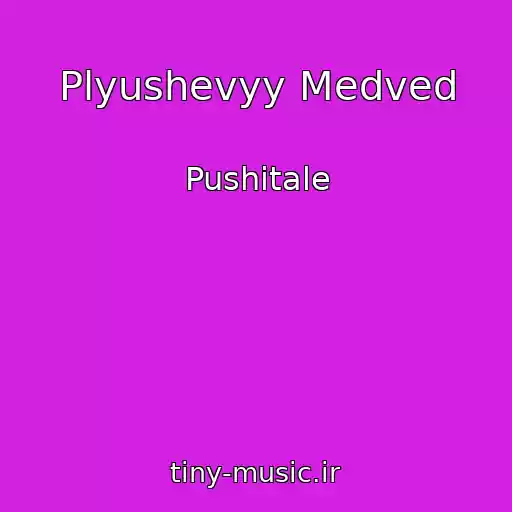 کاور آهنگ Plyushevyy Medved از Pushitale