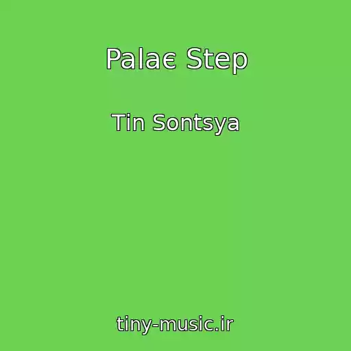 کاور آهنگ Palaє Step از Tіn Sontsya