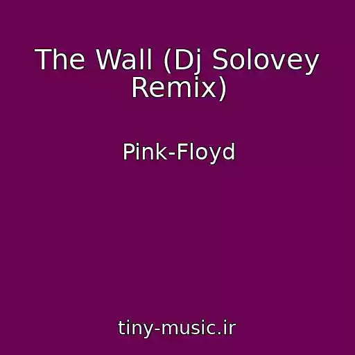 کاور آهنگ The Wall (Dj Solovey Remix) از Pink-Floyd