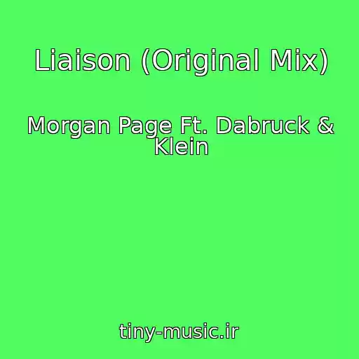 کاور آهنگ Liaison (Original Mix) از Morgan Page Ft. Dabruck & Klein