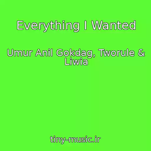 کاور آهنگ Everything I Wanted از Umur Anil Gokdag, Tworule & Liwia