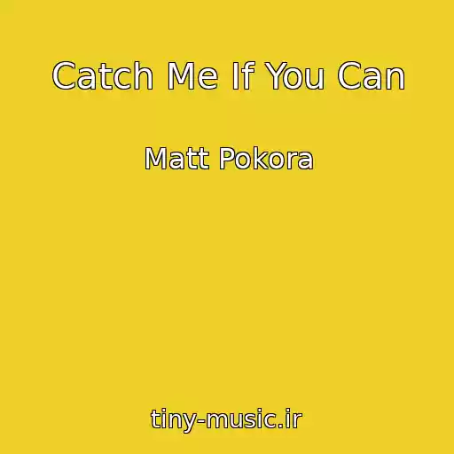 کاور آهنگ Catch Me If You Can از Matt Pokora