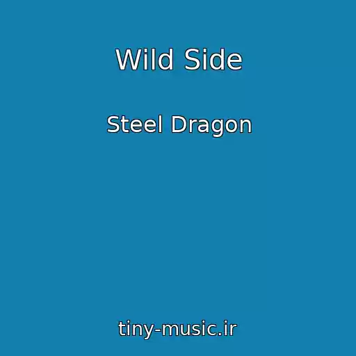 کاور آهنگ Wild Side از Steel Dragon