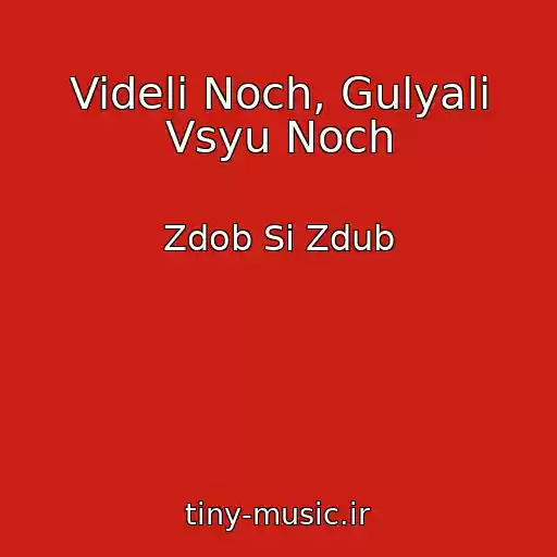 کاور آهنگ Videli Noch, Gulyali Vsyu Noch از Zdob Si Zdub