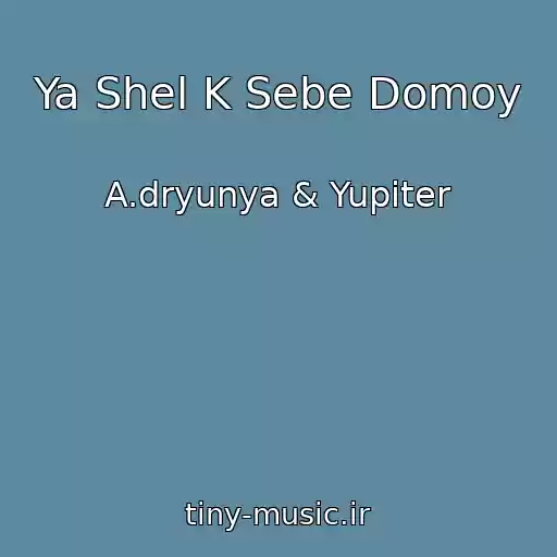 کاور آهنگ Ya Shel K Sebe Domoy از A.dryunya & Yupiter