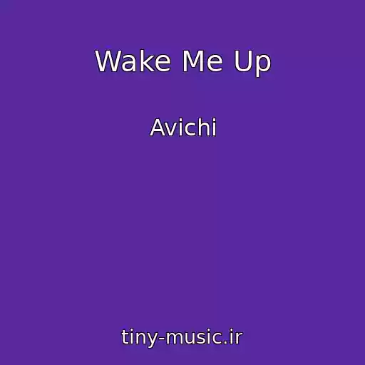کاور آهنگ Wake Me Up از Avichi