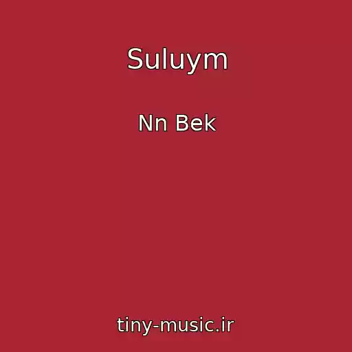 کاور آهنگ Suluym از Nn Bek