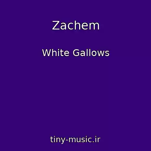 کاور آهنگ Zachem از White Gallows
