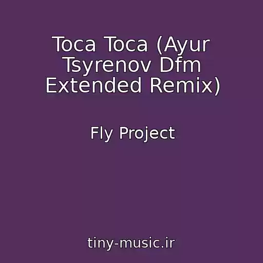 کاور آهنگ Toca Toca (Ayur Tsyrenov Dfm Extended Remix) از Fly Project