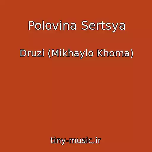 کاور آهنگ Polovina Sertsya از Druzі (Mikhaylo Khoma)