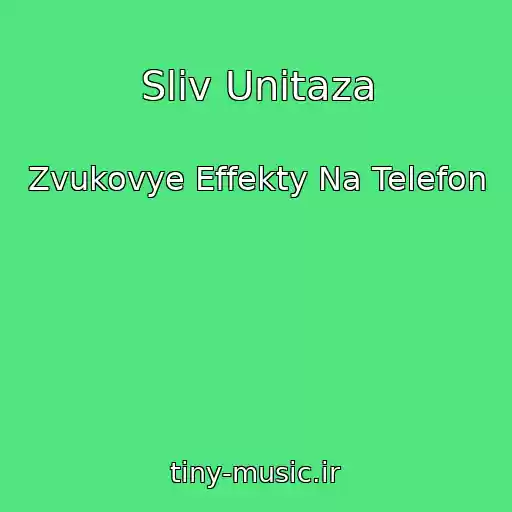 کاور آهنگ Sliv Unitaza از Zvukovye Effekty Na Telefon