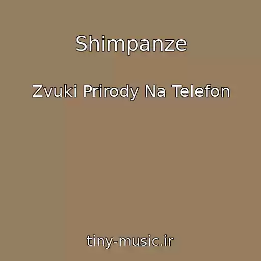 کاور آهنگ Shimpanze از Zvuki Prirody Na Telefon
