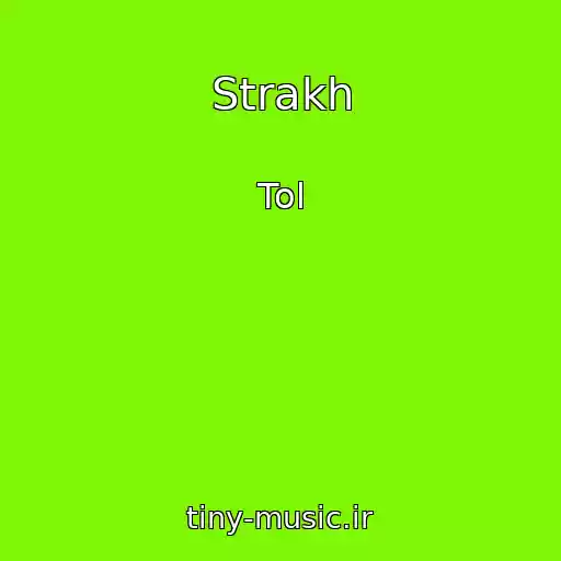 کاور آهنگ Strakh از Tol