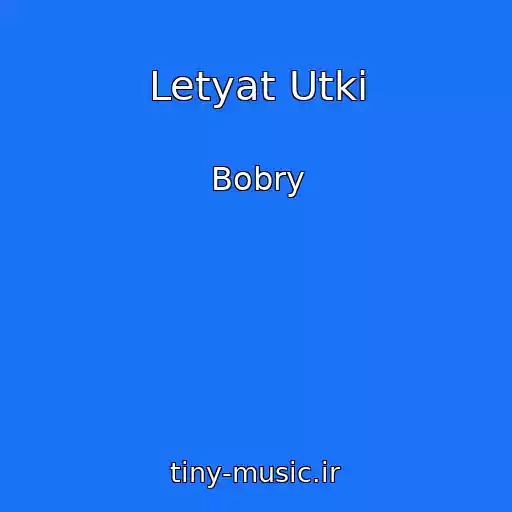 کاور آهنگ Letyat Utki از Bobry