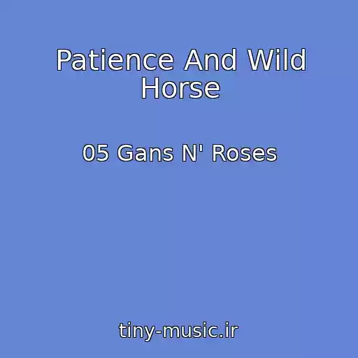 کاور آهنگ Patience And Wild Horse از 05 Gans N' Roses