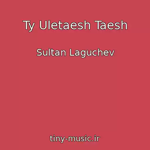 کاور آهنگ Ty Uletaesh Taesh از Sultan Laguchev