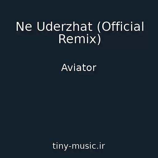 کاور آهنگ Ne Uderzhat (Official Remix) از Aviator