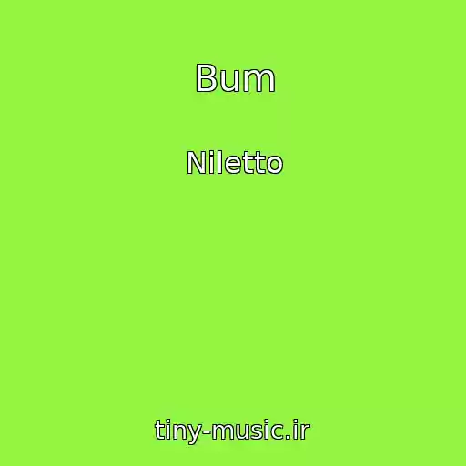 کاور آهنگ Bum از Niletto